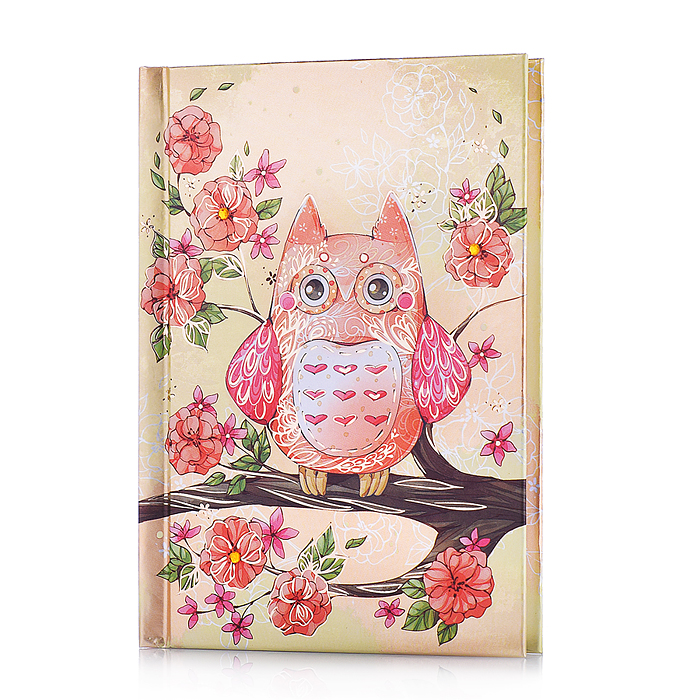 Записная книжка "Ноутбук" "Сова" А6 105x145мм, 160 стр.