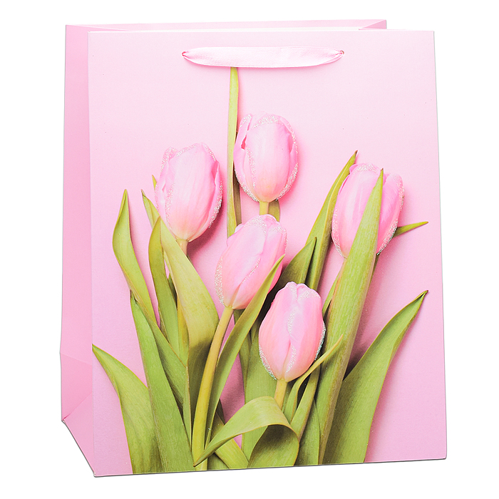 Фото к товару Пакет подарочный 00-6315 "Тюльпаны" 32х26х12 см Пакет подарочный 00-6315 "Тюльпаны" 32х26х12 см