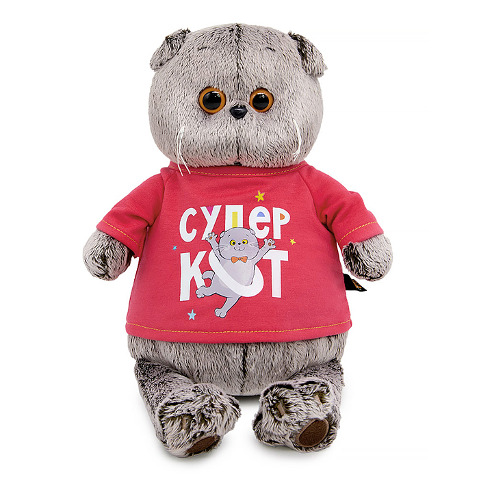 Кот Басик в лонгсливе с принтом "Супер кот"