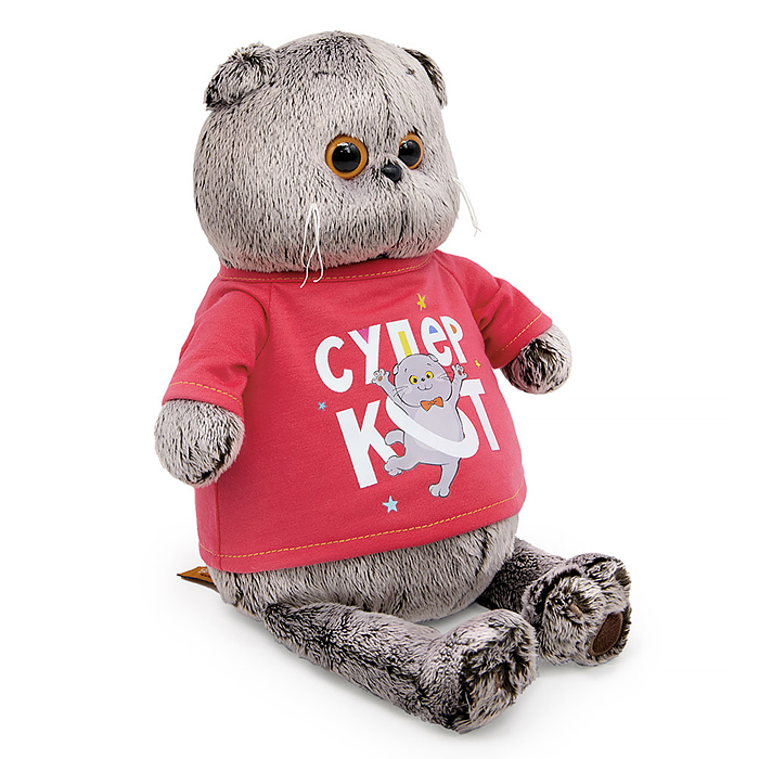 Кот Басик в лонгсливе с принтом "Супер кот"