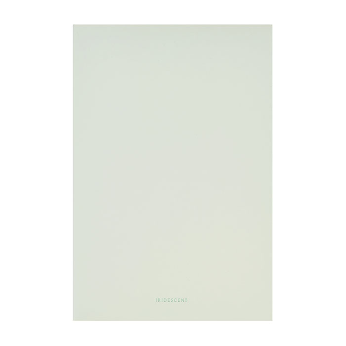 Блокнот 96л, светло-зеленый, 210х143мм. искусст. кожа 