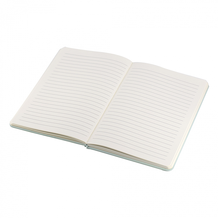 Фото к товару Подарочный блокнот 14,0 см * 21,0 см, эффект 3D, 80л., линия, "Футбол", бирюзовый Подарочный блокнот 14,0 см * 21,0 см, эффект 3D, 80л., линия, "Футбол", бирюзовый