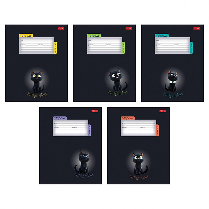 Тетрадь 18л. клетка "Котенок уголек" А5 на скобе 
