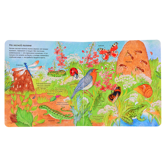 Удивительные животные. Энциклопедия с окошками