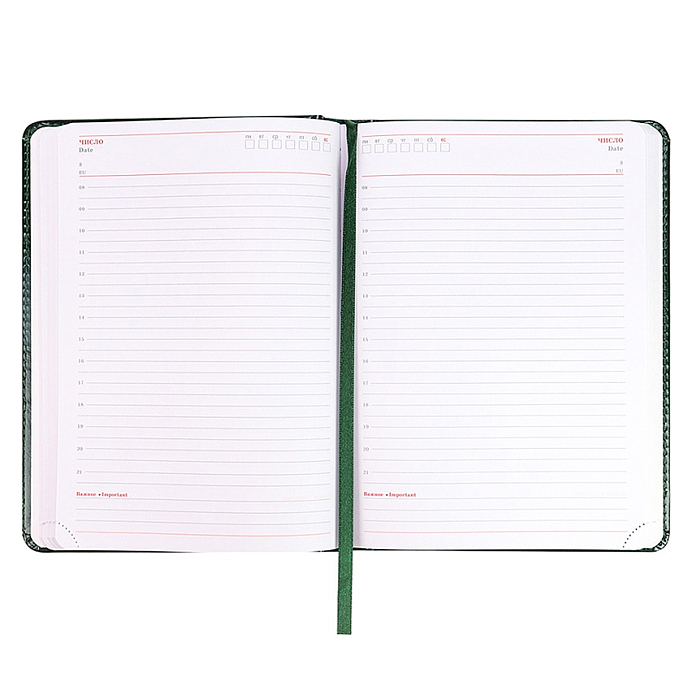 Фото к товару Ежедневник недатированный А5, 160л. недатир. "TOUCH SKIN -EMERALD" зеленый Ежедневник недатированный А5, 160л. недатир. "TOUCH SKIN -EMERALD" зеленый