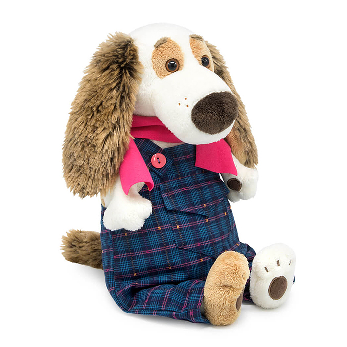 Собака Бартоломей в комбинезоне