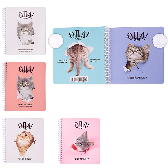 Тетрадь 96л. клетка/линия, А5 "Перевертыш Опа!" гребень Тетрадь 96л. клетка/линия, А5 "Перевертыш Опа!" гребень