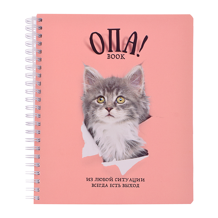 Фото к товару Тетрадь 96л. клетка/линия, А5 "Перевертыш Опа!" гребень Тетрадь 96л. клетка/линия, А5 "Перевертыш Опа!" гребень