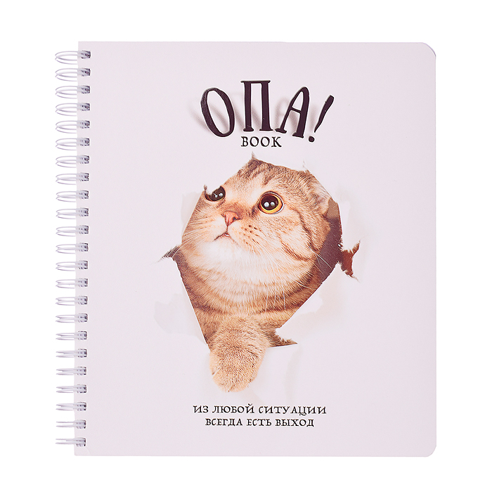 Фото к товару Тетрадь 96л. клетка/линия, А5 "Перевертыш Опа!" гребень Тетрадь 96л. клетка/линия, А5 "Перевертыш Опа!" гребень