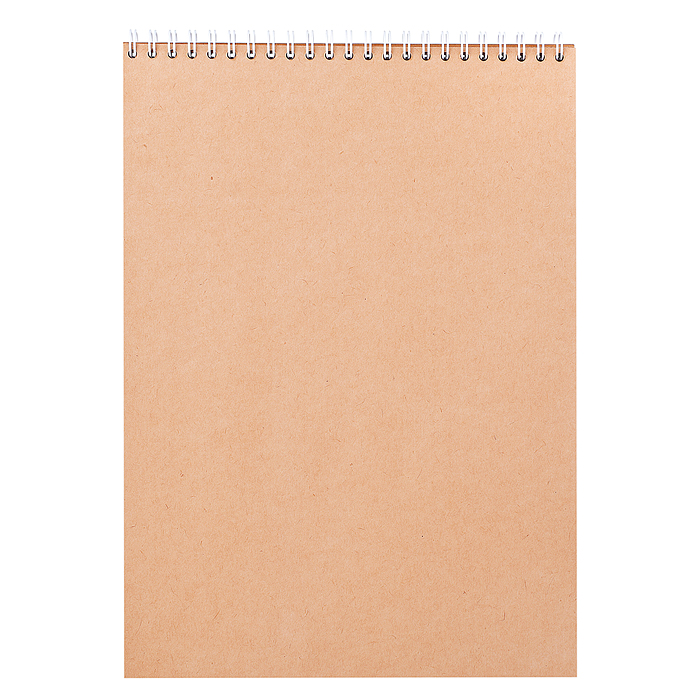 Фото к товару Альбом для эскизов 50л. на гребне А4, верт."Девушка-весна" Альбом для эскизов 50л. на гребне А4, верт."Девушка-весна"