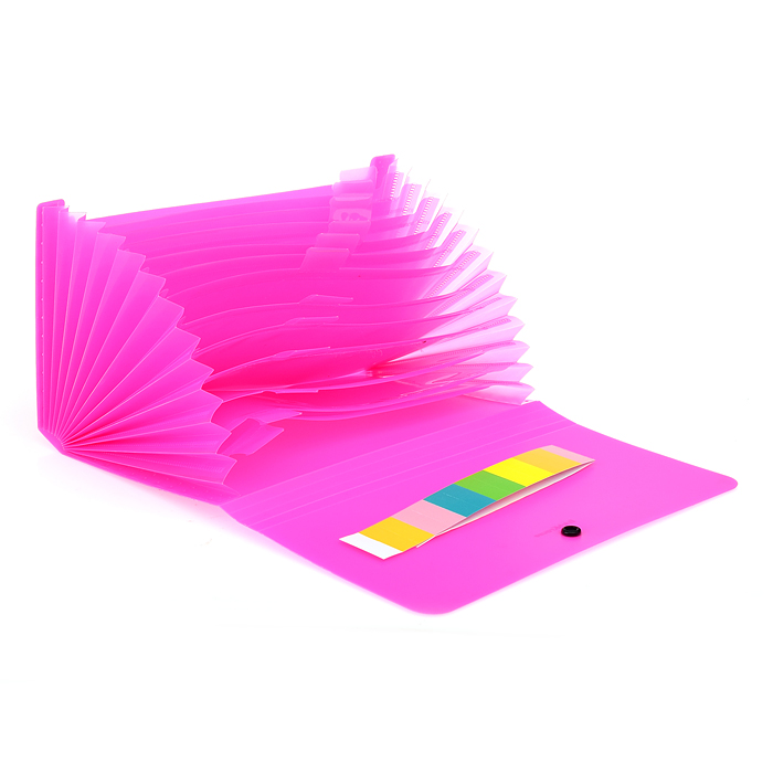 Фото к товару Папка-картотека пластиковая Matt Neon, с 12 отделениями, Check size, ассорти Папка-картотека пластиковая Matt Neon, с 12 отделениями, Check size, ассорти