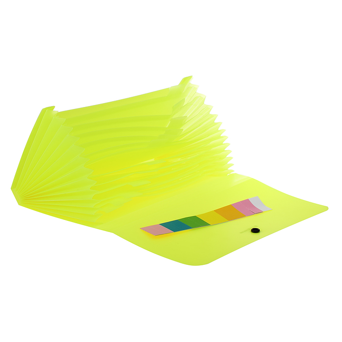 Фото к товару Папка-картотека пластиковая Matt Neon, с 12 отделениями, Check size, ассорти Папка-картотека пластиковая Matt Neon, с 12 отделениями, Check size, ассорти