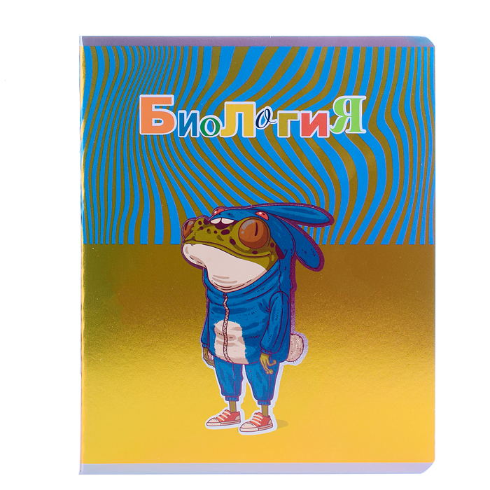 Фото к товару Комплект предметных тетрадей Тетрадь 48л "Лягушкина жизнь" 10 предметов Комплект предметных тетрадей Тетрадь 48л "Лягушкина жизнь" 10 предметов