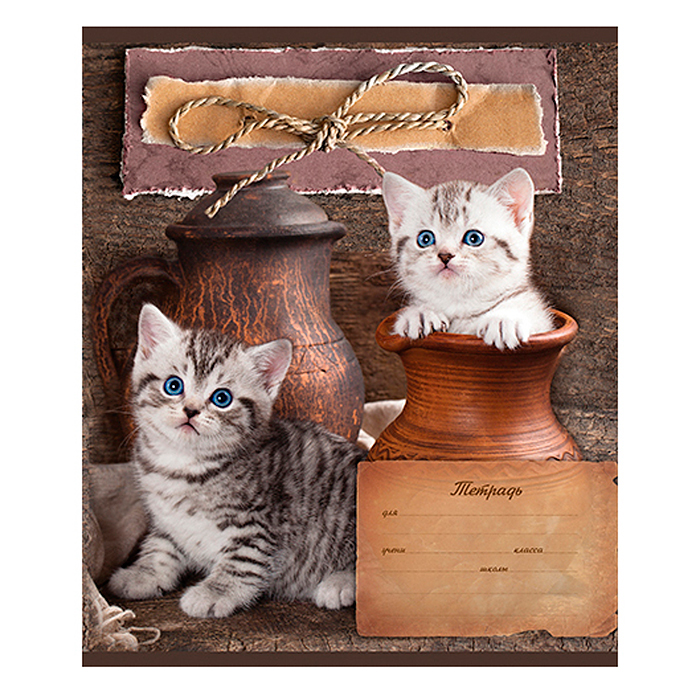 Тетрадь 24л. линия "Кот и пес" скрепка "ML эконом ВД лак Тетрадь 24л. линия "Кот и пес" скрепка "ML эконом ВД лак