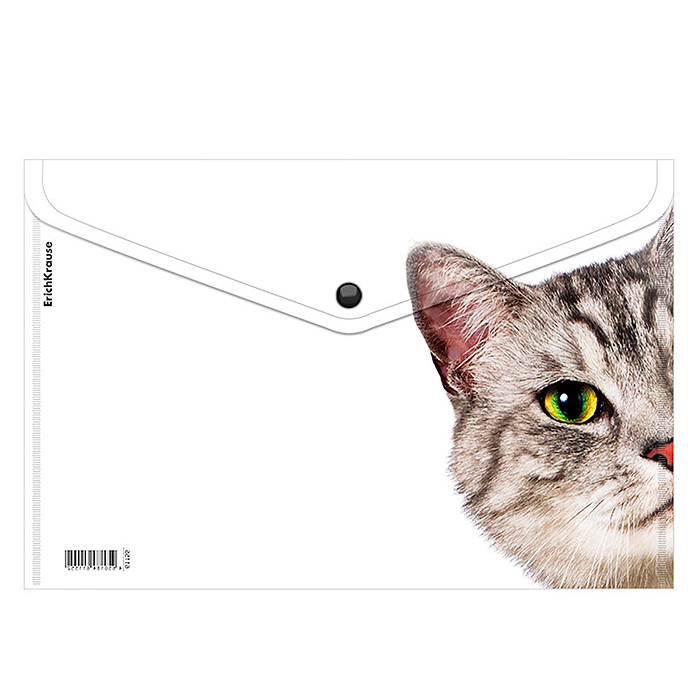Фото к товару Папка-конверт на кнопке пластиковая Hiding Cats, A4, ассорти Папка-конверт на кнопке пластиковая Hiding Cats, A4, ассорти