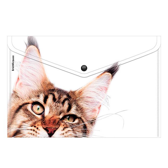 Фото к товару Папка-конверт на кнопке пластиковая Hiding Cats, A4, ассорти Папка-конверт на кнопке пластиковая Hiding Cats, A4, ассорти