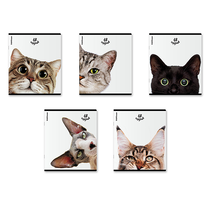 Тетрадь 48л. клетка "Котики" Тетрадь 48л. клетка "Котики"