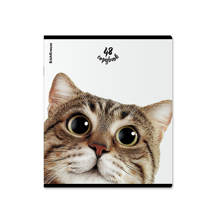 Тетрадь 48л. клетка "Котики"