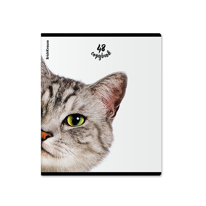 Тетрадь 48л. клетка "Котики"