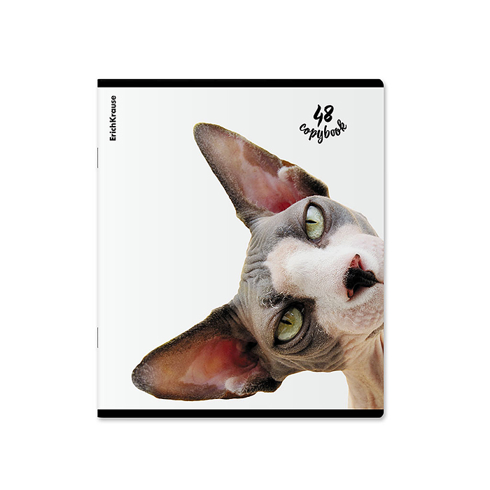 Тетрадь 48л. клетка "Котики"