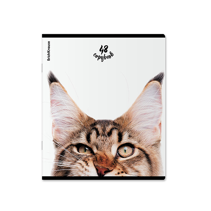 Тетрадь 48л. клетка "Котики"