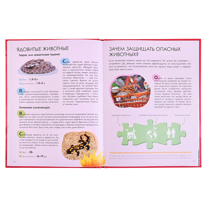 Фото к товару Детская энциклопедия. Красная книга Детская энциклопедия. Красная книга