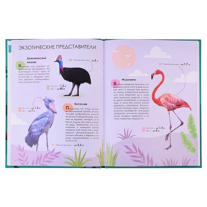 Фото к товару Детская энциклопедия. Животные Детская энциклопедия. Животные