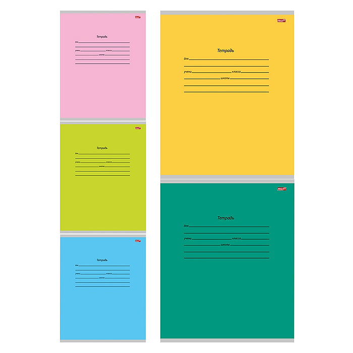 Тетрадь 12л. дополнительная косая линия "Школьная классика" цвет.мел, 5 диз в кор.