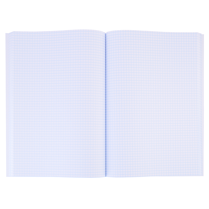 Книга учёта  80л. "Символика России-4" клетка, переплёт 7БЦ, глянц.лам