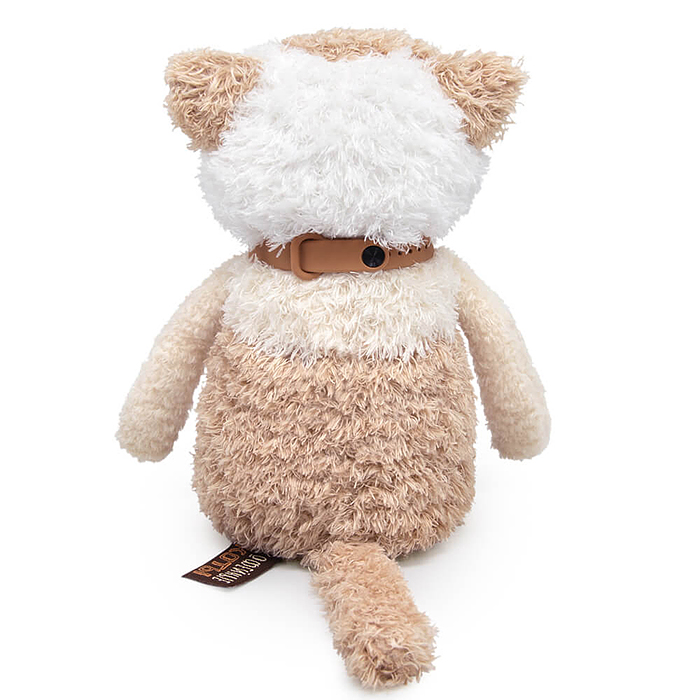 Кофейные коты Латте