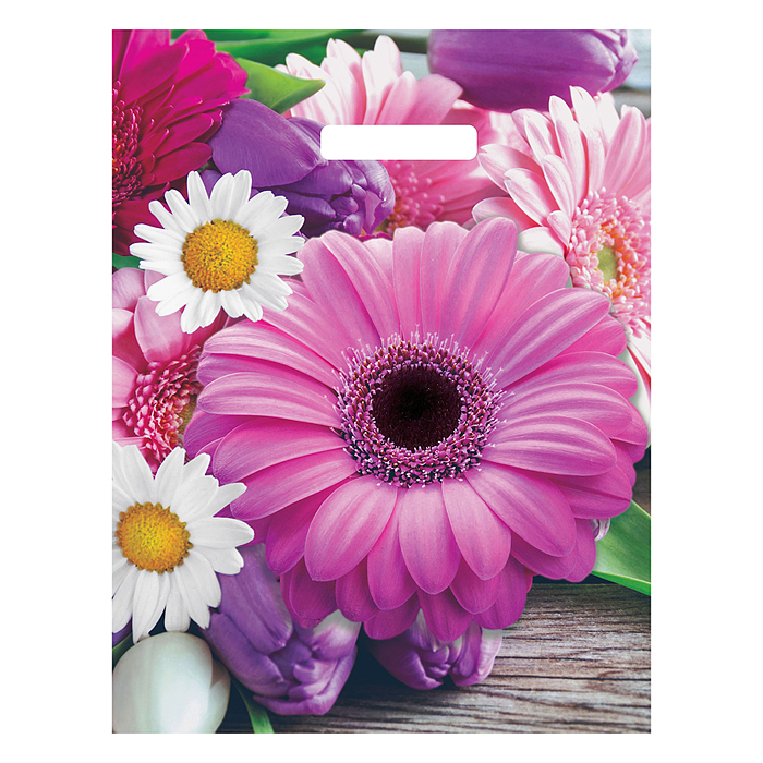 Пакет с вырубной ручкой 31х40см (60) (Ароматная палитра) Глянцевый 