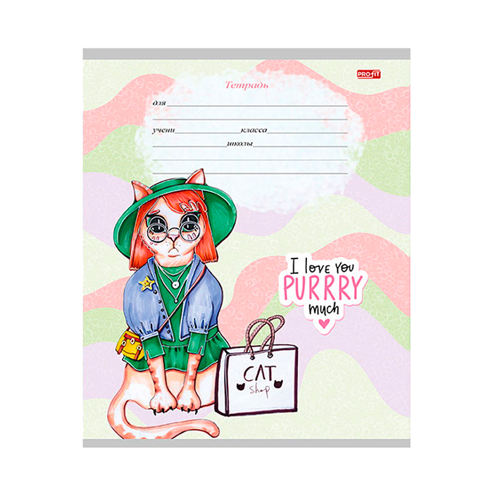 Тетрадь 12л. дополнительная косая линия "Котики в нарядах" 5 диз.в спайке