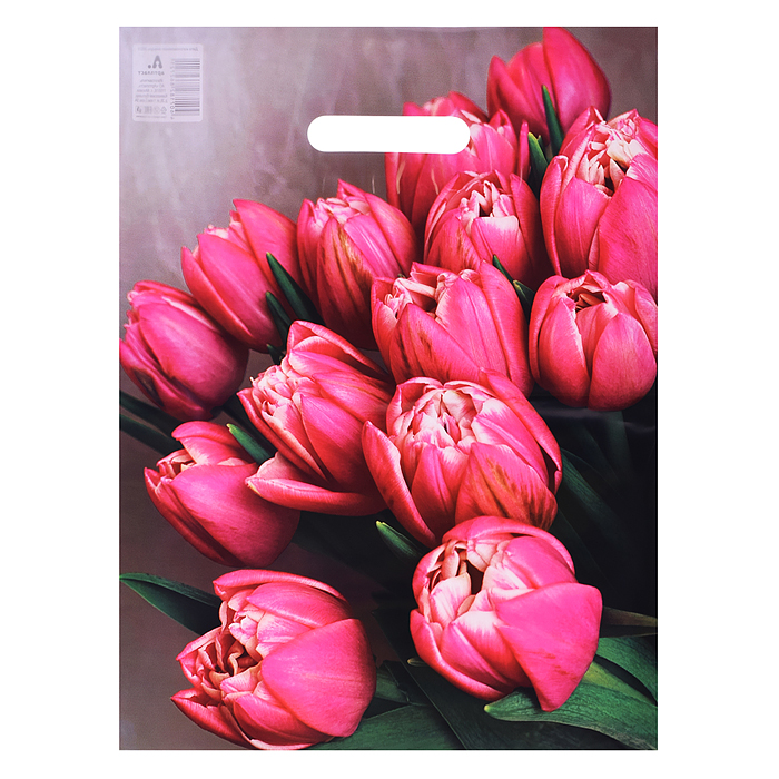 Пакет с вырубной ручкой 31х40см (60) (Стелла) Глянцевый Пакет с вырубной ручкой 31х40см (60) (Стелла) Глянцевый