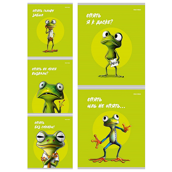 Тетрадь 48л. клетка "Жабка" цветная мелованная обложка Тетрадь 48л. клетка "Жабка" цветная мелованная обложка