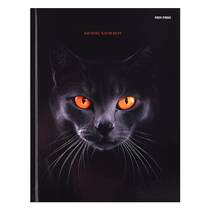 Бизнес-блокнот 80л. "Черная кошка - 2" А5 (пер.7БЦ, глянц.ламинир., цвет.мелов.обл.)