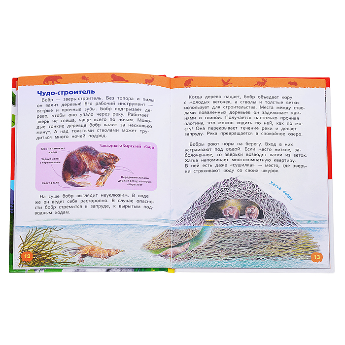 Фото к товару Красная книга России (Энциклопедия для детского сада) Красная книга России (Энциклопедия для детского сада)