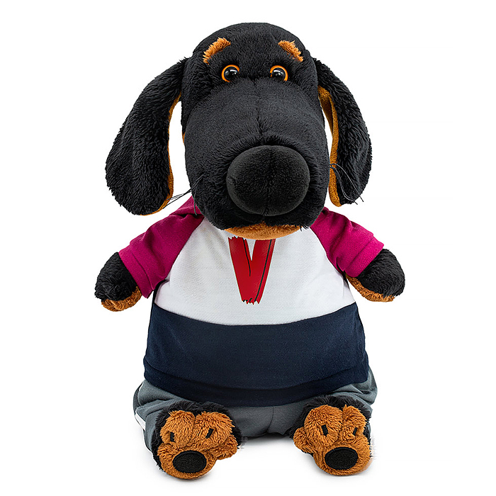 Собака Ваксон в костюме в стиле спорт-шик