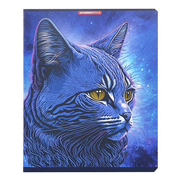 Тетрадь 48л., клетка "Синий Кот" матовая ламинация обложка - картон мелованный,внутр.  блок 60-гр