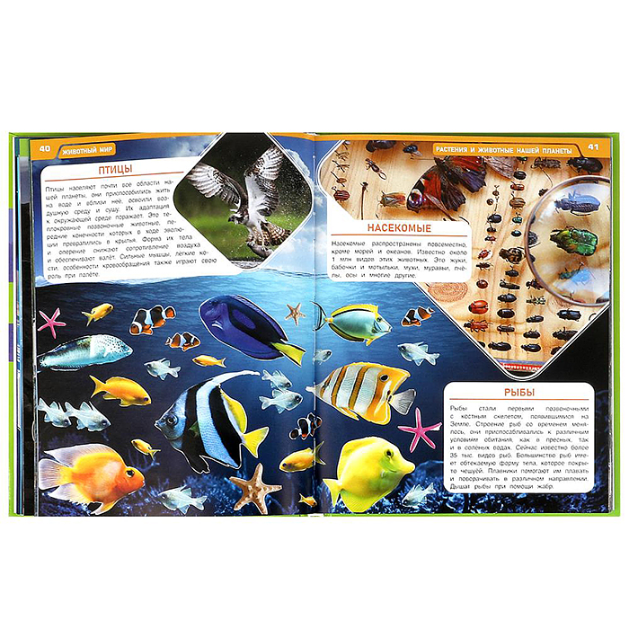 Большая энциклопедия для школьника. Энциклопедия. 