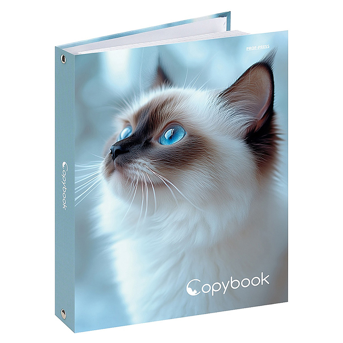 Фото к товару Тетрадь 80л. клетка "Голубоглазая кошка" на кольцах, глянцевая ламинац, лен Тетрадь 80л. клетка "Голубоглазая кошка" на кольцах, глянцевая ламинац, лен