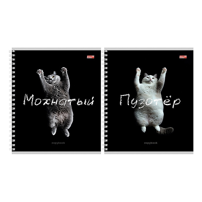 Тетрадь 48л. клетка "Забавные коты - 2" гребень, цвет. мелов. обл.