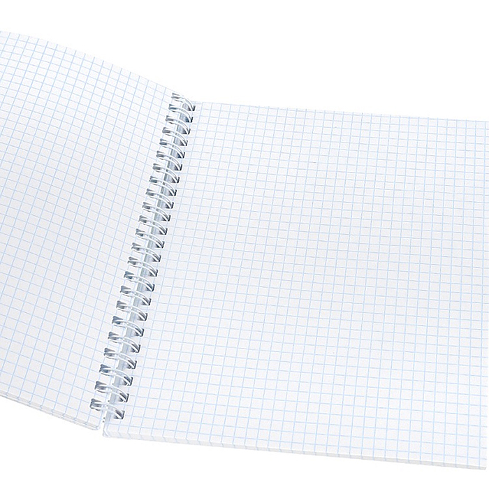 Фото к товару Тетрадь 48л. клетка "Забавные коты - 2" гребень, цвет. мелов. обл. Тетрадь 48л. клетка "Забавные коты - 2" гребень, цвет. мелов. обл.