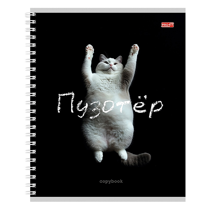 Фото к товару Тетрадь 48л. клетка "Забавные коты - 2" гребень, цвет. мелов. обл. Тетрадь 48л. клетка "Забавные коты - 2" гребень, цвет. мелов. обл.