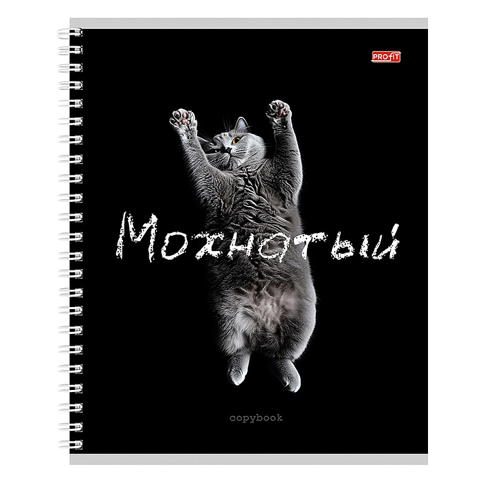 Фото к товару Тетрадь 48л. клетка "Забавные коты - 2" гребень, цвет. мелов. обл. Тетрадь 48л. клетка "Забавные коты - 2" гребень, цвет. мелов. обл.