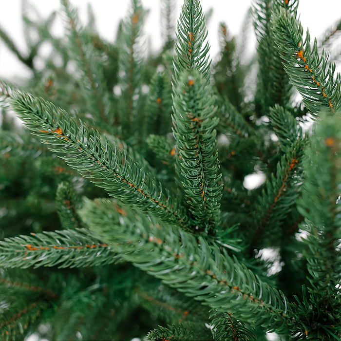 Фото к товару Елка искусственная "Традиционная Премиум" 180 см. Елка искусственная "Традиционная Премиум" 180 см.