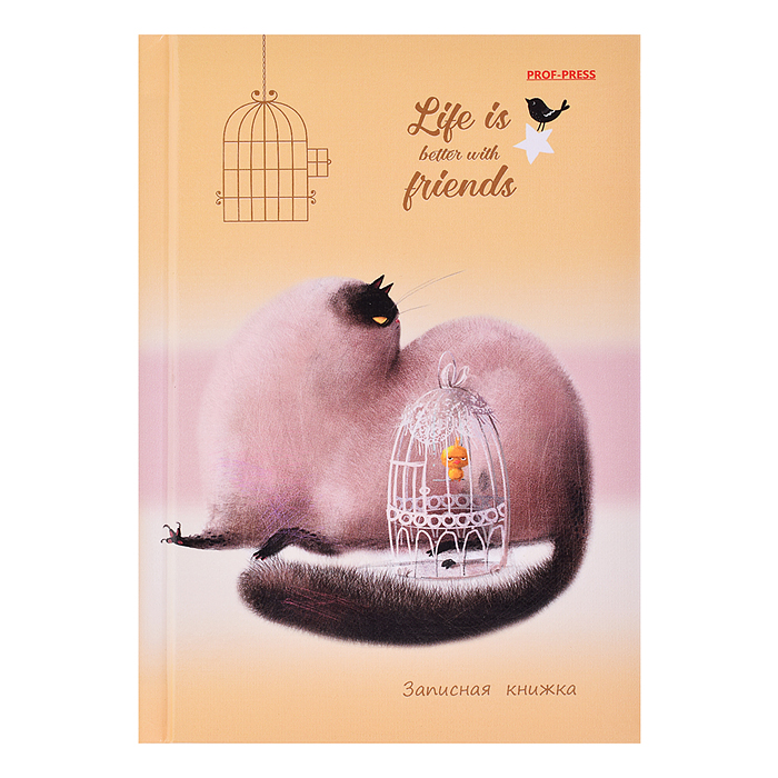 Записная книжка А6 64л. "Кошка и канарейка" 7БЦ,глянц.ламинирование, лен + золото Записная книжка А6 64л. "Кошка и канарейка" 7БЦ,глянц.ламинирование, лен + золото