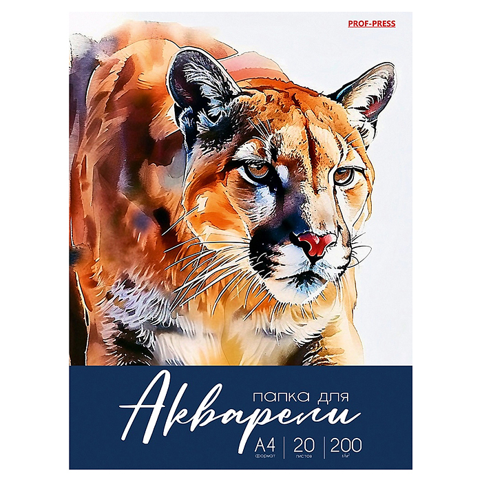 Папка для акварели А4 "Разнообразная акварель - 5" цветная обл., 20л. 200г/м2