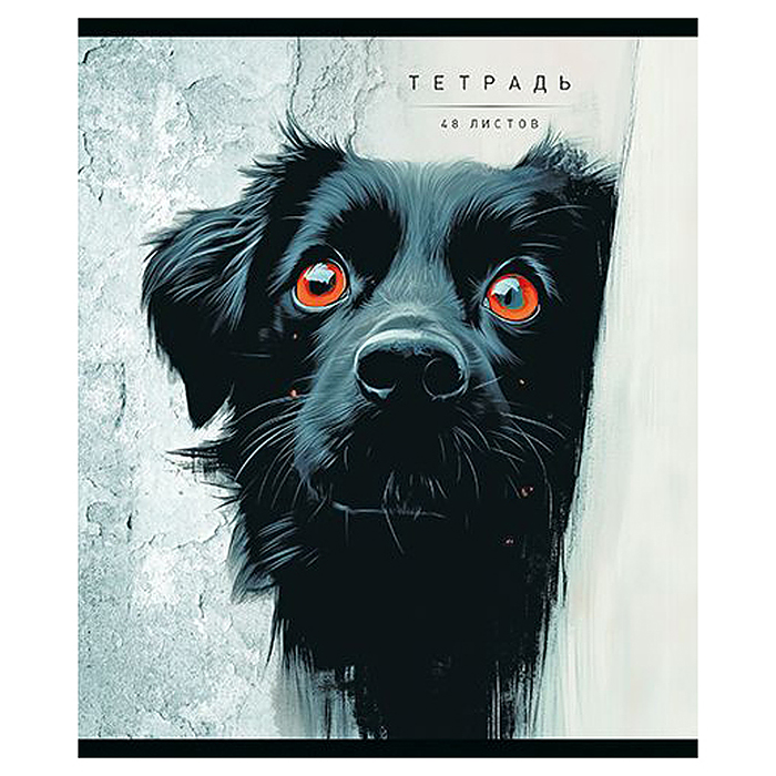 Фото к товару Тетрадь 48л. клетка А5 скрепка S "Кто тут?" Премиум 4+4+Матовая ламинация+УФ выб.20%+Конгрев Тетрадь 48л. клетка А5 скрепка S "Кто тут?" Премиум 4+4+Матовая ламинация+УФ выб.20%+Конгрев