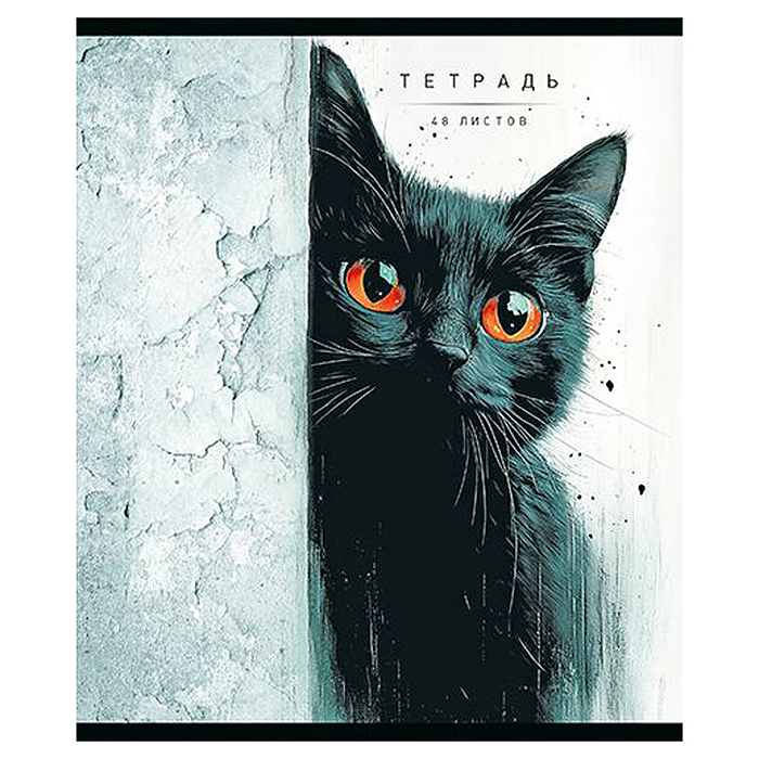 Фото к товару Тетрадь 48л. клетка А5 скрепка S "Кто тут?" Премиум 4+4+Матовая ламинация+УФ выб.20%+Конгрев Тетрадь 48л. клетка А5 скрепка S "Кто тут?" Премиум 4+4+Матовая ламинация+УФ выб.20%+Конгрев