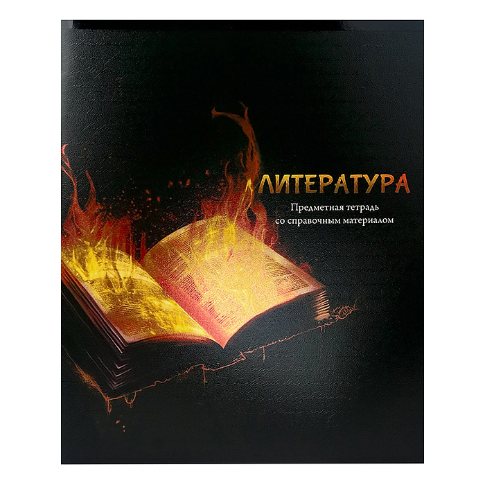 Тетрадь 48л. линия Литература "Магия предмета" стандарт, хол ф.,тв.л Тетрадь 48л. линия Литература "Магия предмета" стандарт, хол ф.,тв.л